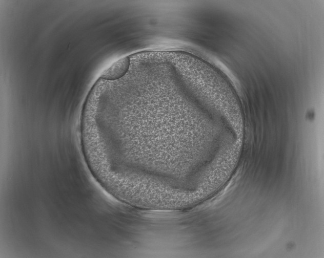 X0000116891487201001121333