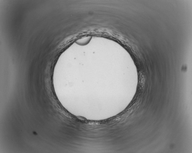 X0000116891489201001121332