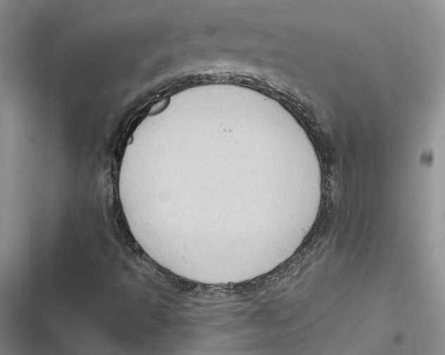 X0000116891493201001121332