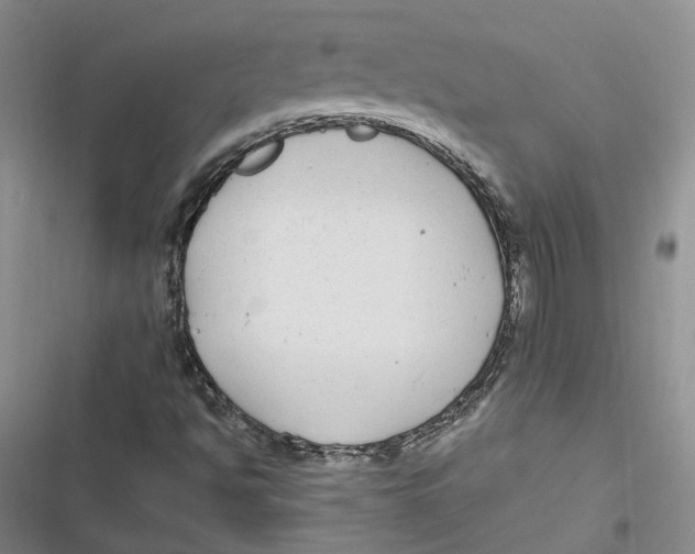 X0000116891494201001121332
