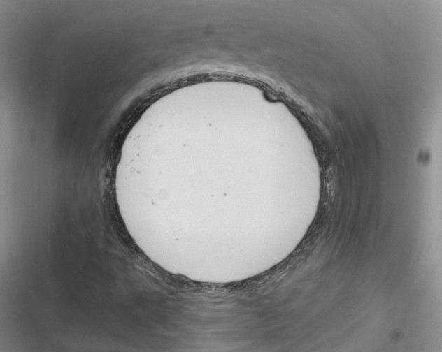 X0000116891495201001121332