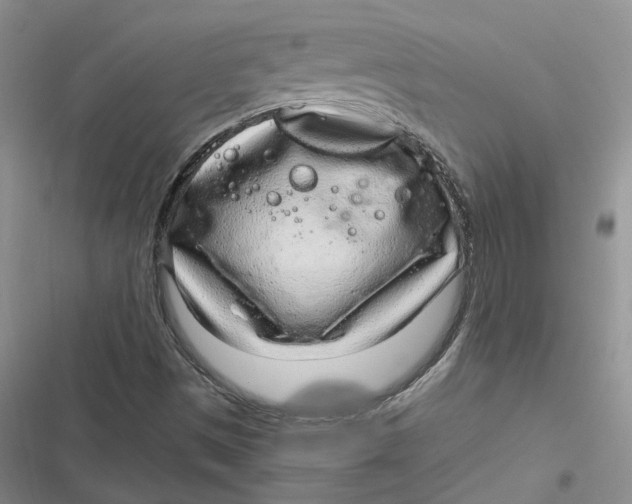 X0000116891497201001121332