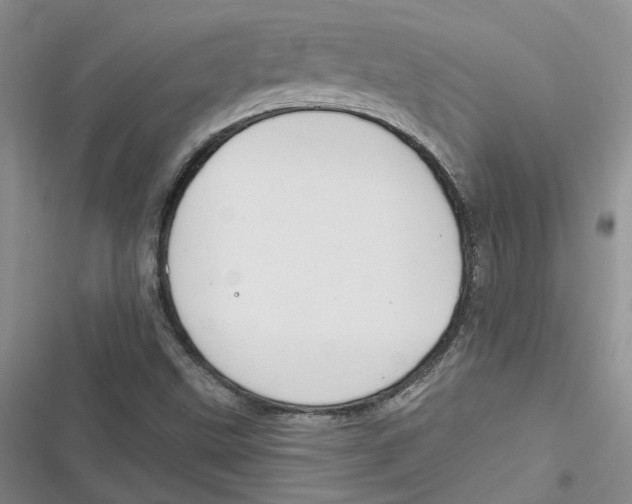 X0000116891499201001121332