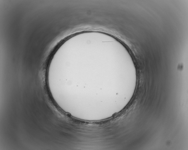 X0000116891503201001121332