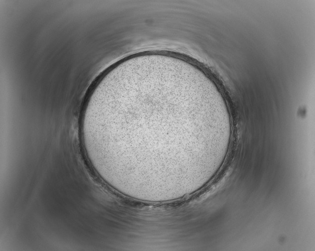 X0000116891505201001121332