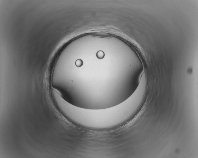 X0000116891506201001121332