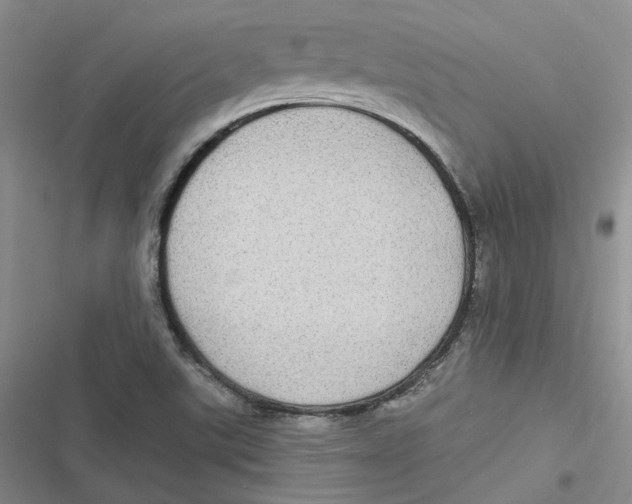X0000116891507201001121332