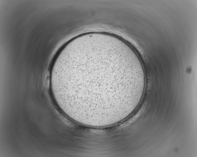 X0000116891509201001121332
