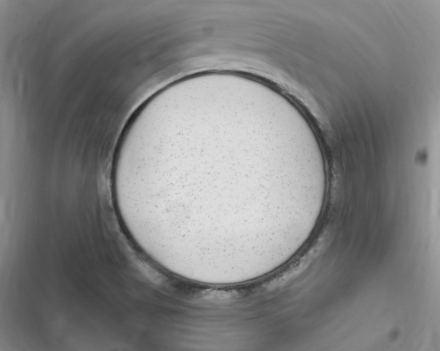 X0000116891513201001121333