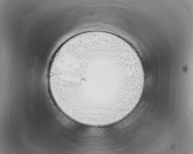 X0000116891514201001121333