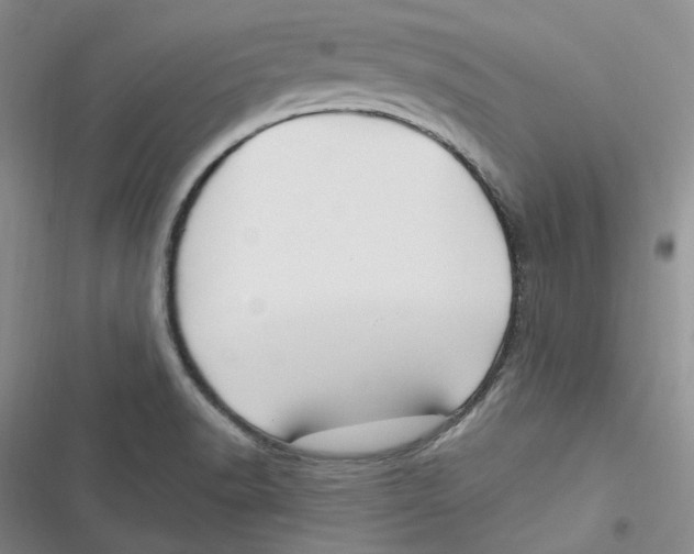 X0000116891518201001121333