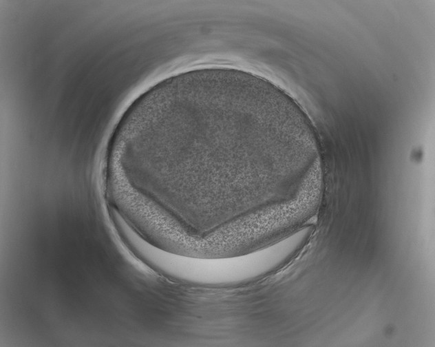 X0000116891519201001121333