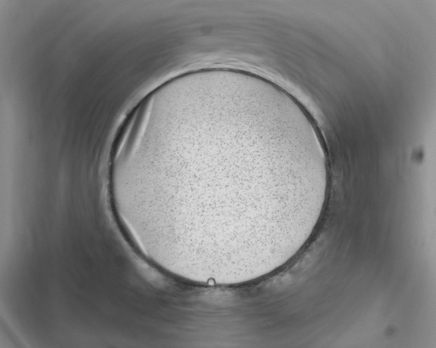 X0000116891525201001121333