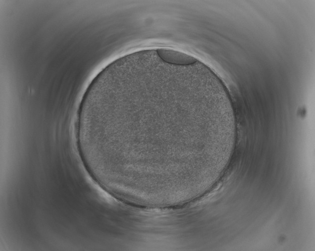 X0000116891527201001121333