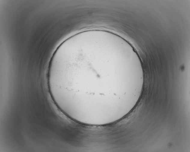 X0000116891534201001121333