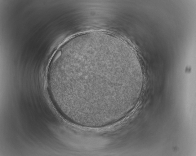 X0000116890002201001191815