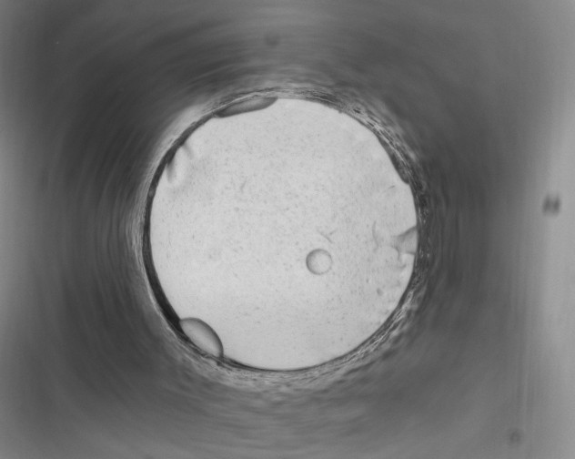 X0000116890003201001191815