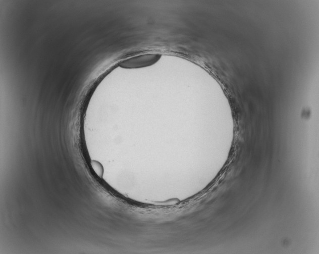 X0000116890005201001191815