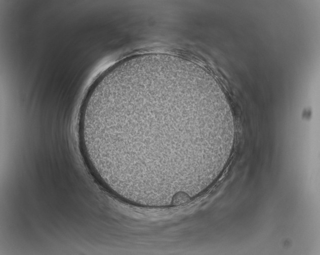 X0000116890006201001191815