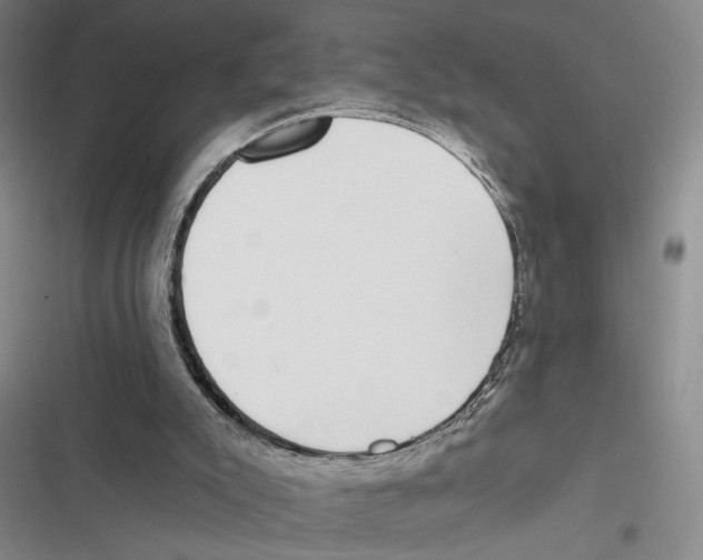 X0000116890007201001191815