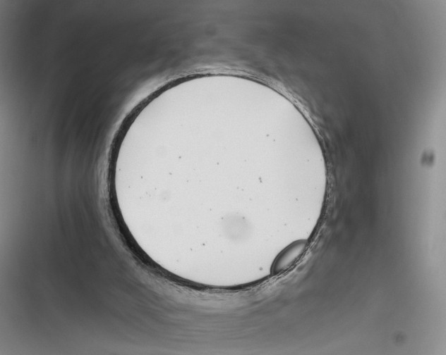 X0000116890008201001191815