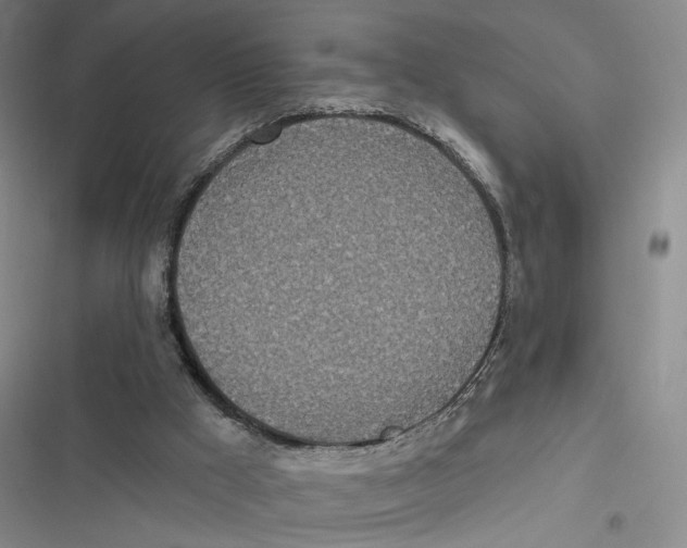 X0000116890009201001191815