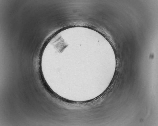 X0000116890012201001191815