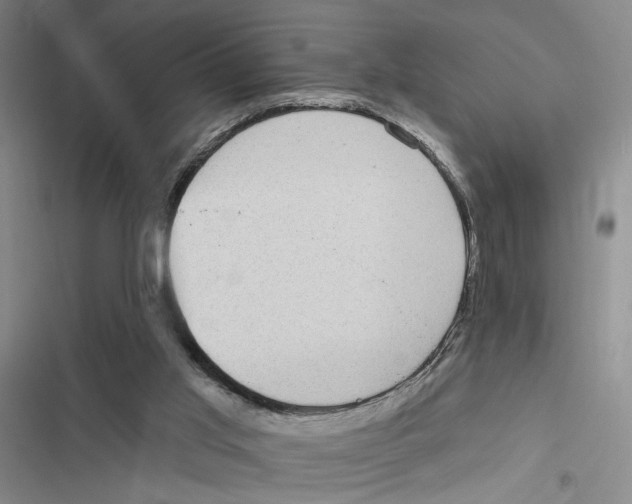 X0000116890013201001191815