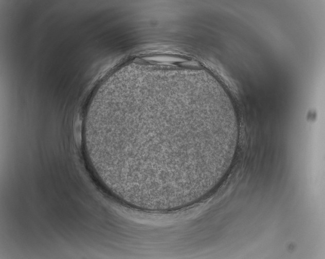 X0000116890014201001191815