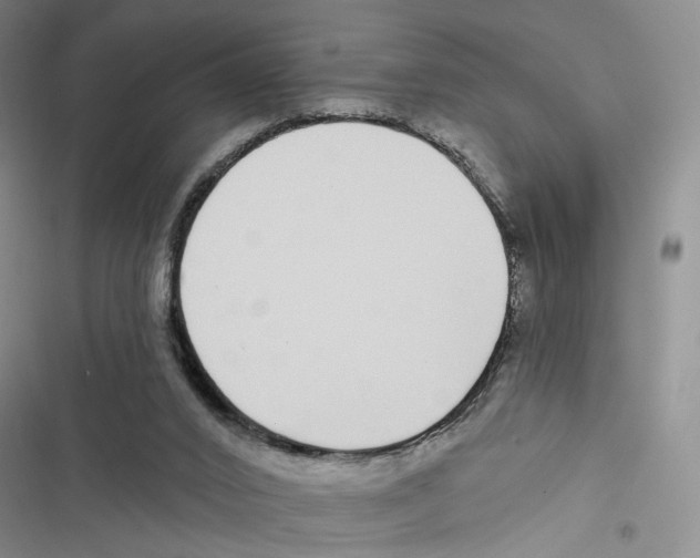 X0000116890016201001191815