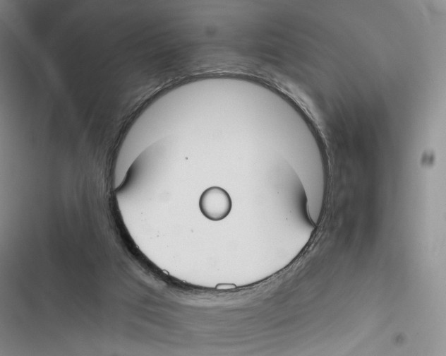 X0000116890017201001191815