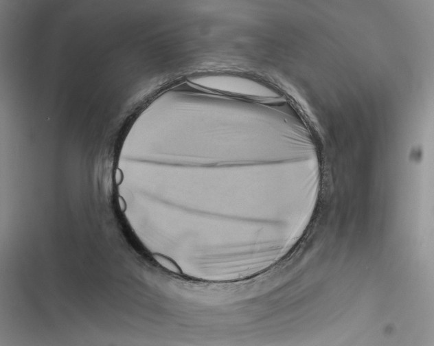 X0000116890019201001191815