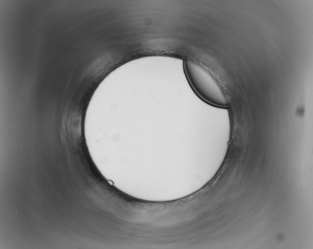 X0000116890021201001191815