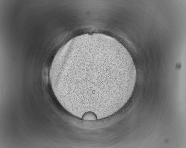 X0000116890022201001191815