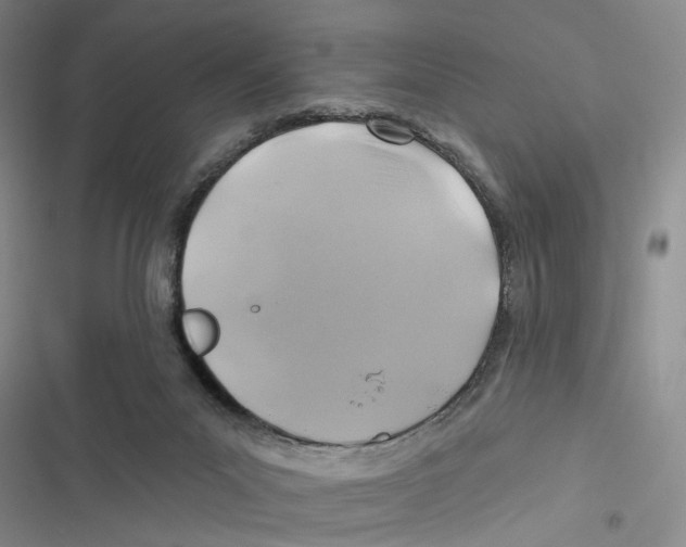 X0000116890023201001191815