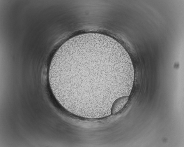 X0000116890024201001191815