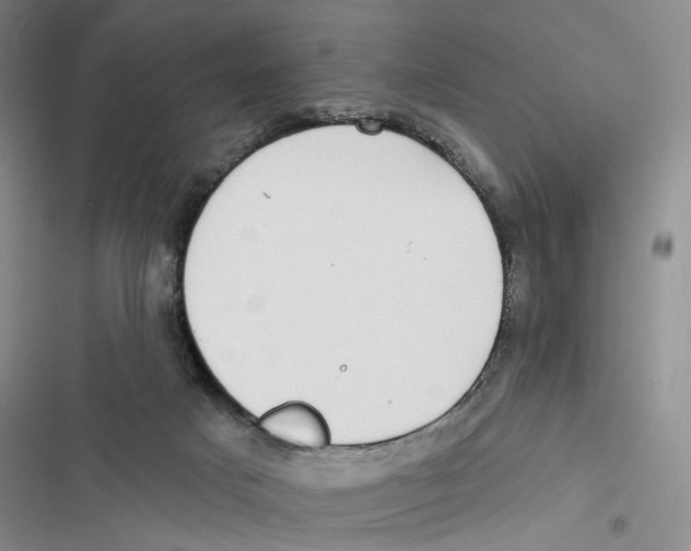 X0000116890025201001191815