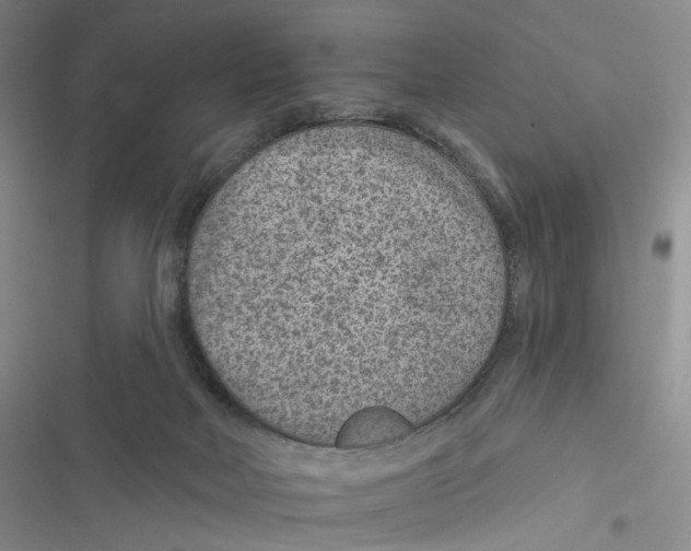 X0000116890026201001191815