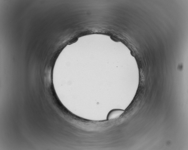 X0000116890028201001191815