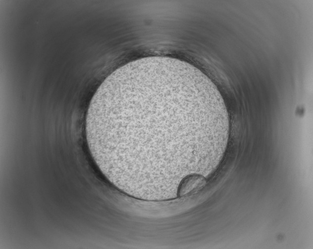 X0000116890030201001191815