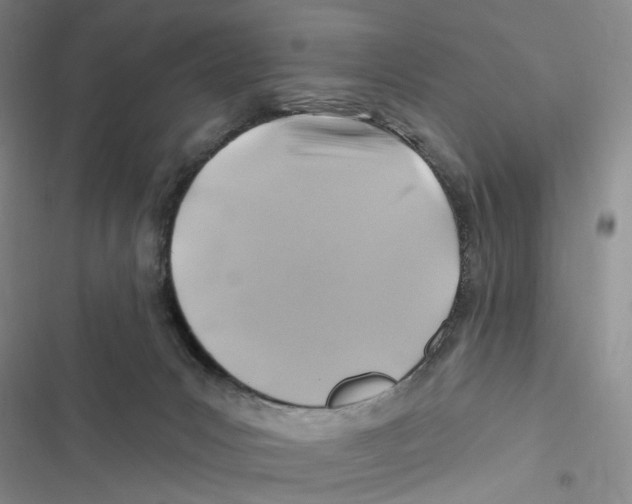 X0000116890031201001191815