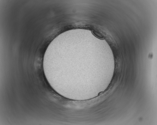 X0000116890033201001191815