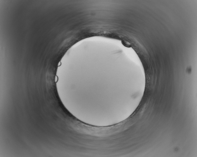 X0000116890035201001191815