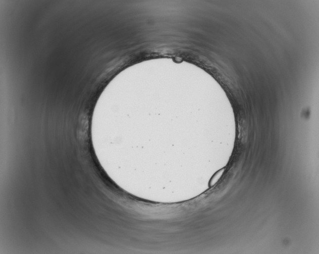 X0000116890036201001191815