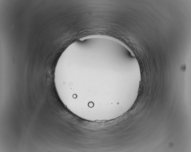 X0000116890037201001191814