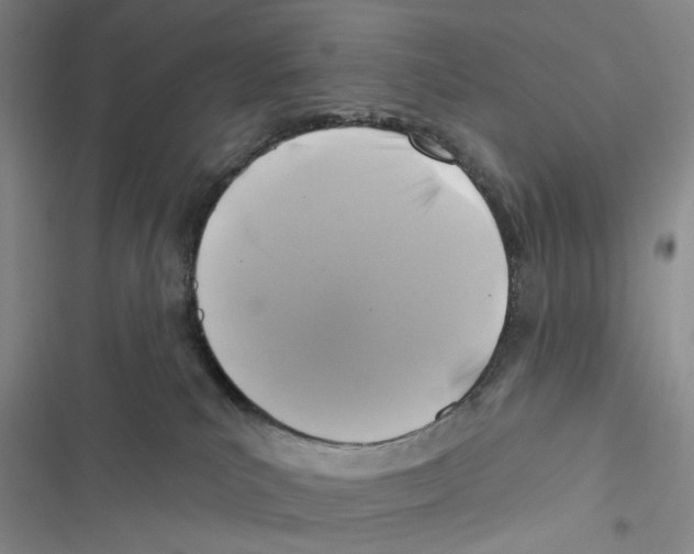 X0000116890039201001191814