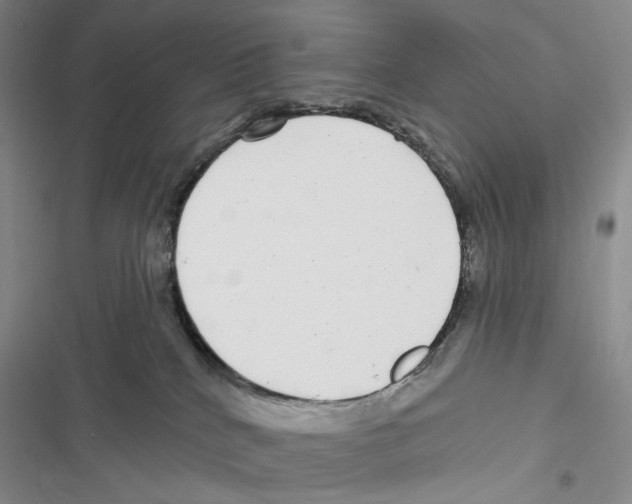 X0000116890040201001191814