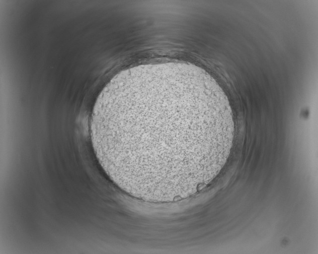 X0000116890042201001191814