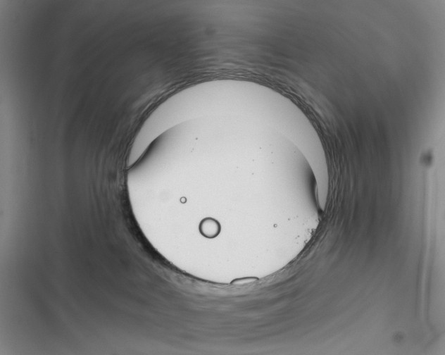 X0000116890043201001191814