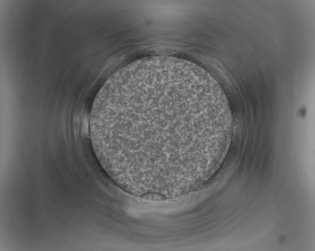 X0000116890046201001191814